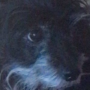 Meet your Posher, Ella